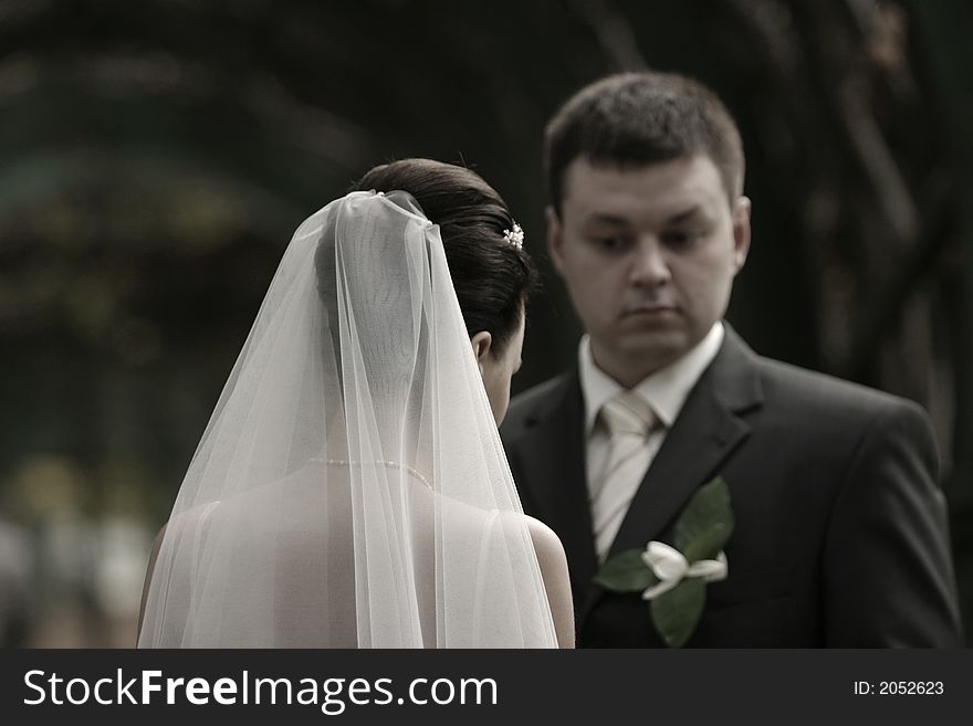 The bride and the groom in park. The bride and the groom in park