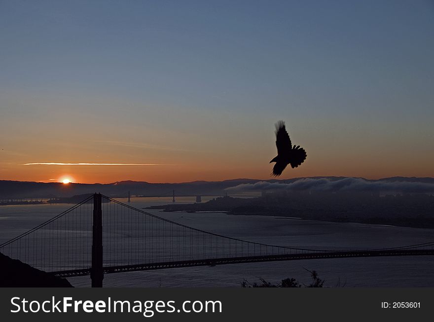 Golden Gate Flyby