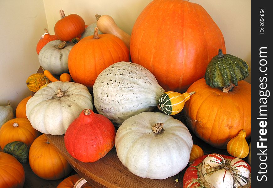 A colourful pile of gourds and pumpkins. A colourful pile of gourds and pumpkins