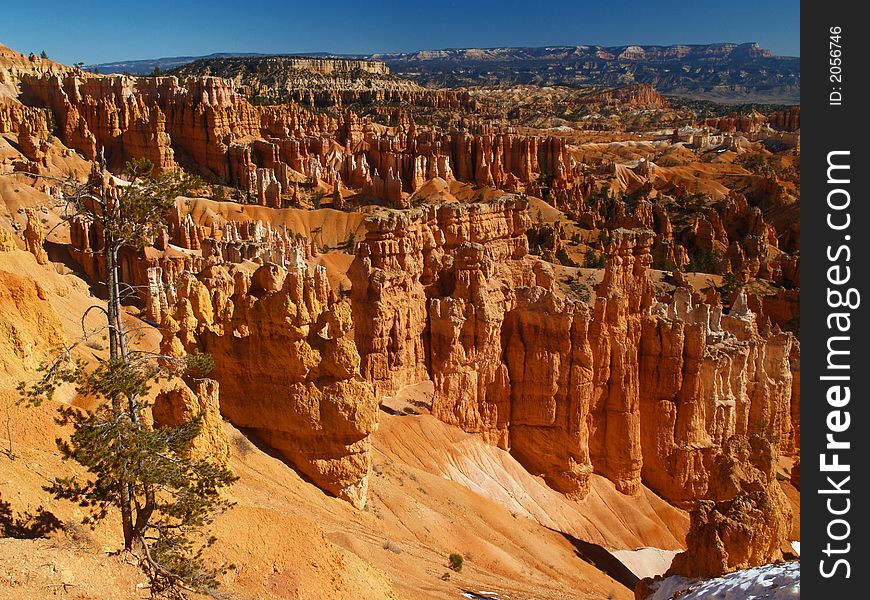 The Bryce Canyon National Park, Utah, USA