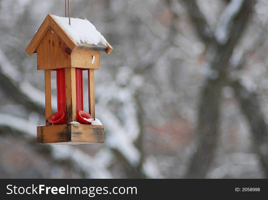 A house shaped hummingbird feeder hanging outside.