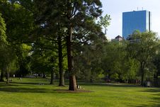 Boston Public Garden In The Summer Stock Photo Boston Public Garden In The Summer Stock Photo