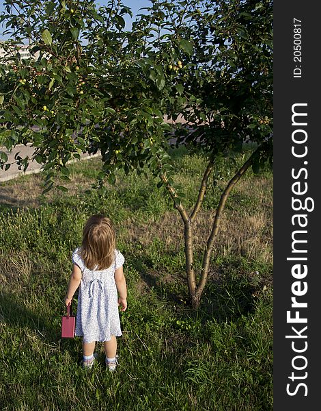 Blonde little girl outdoors in summer