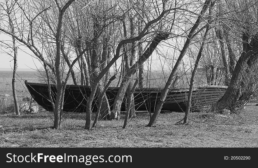 Old boat and trees near to Kaltene. Latvia.Black and white image. Old boat and trees near to Kaltene. Latvia.Black and white image.