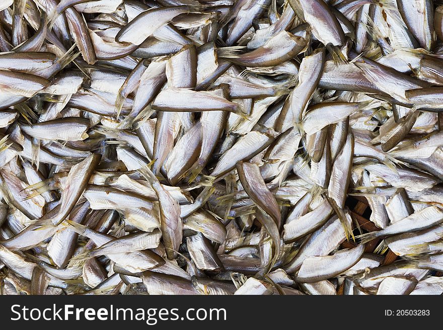 Close up of Dried fish taken in market place
