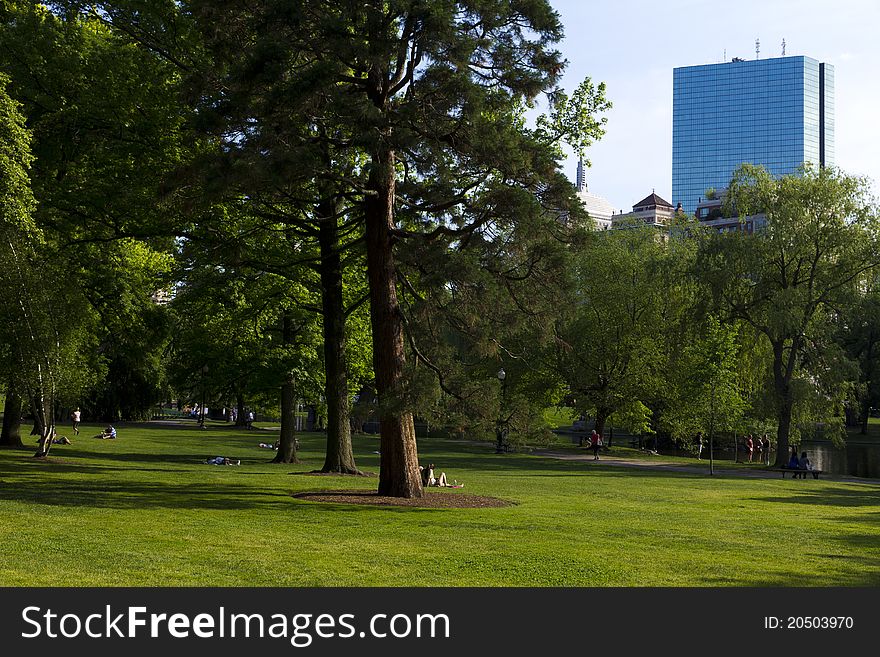 Boston Public Garden In The Summer