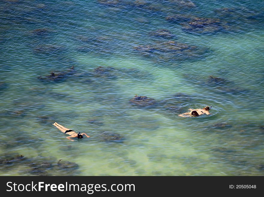 Snorkeling together in the sea at national park