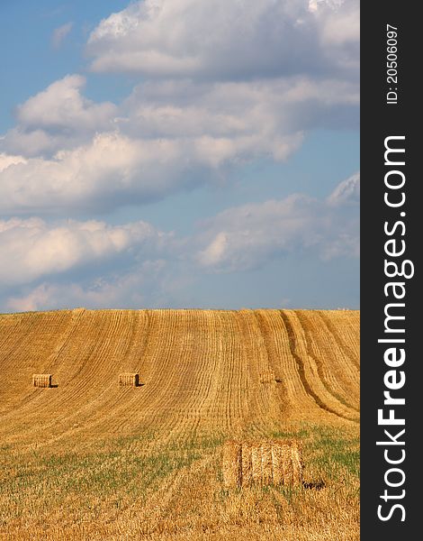 Square hay bales in the field