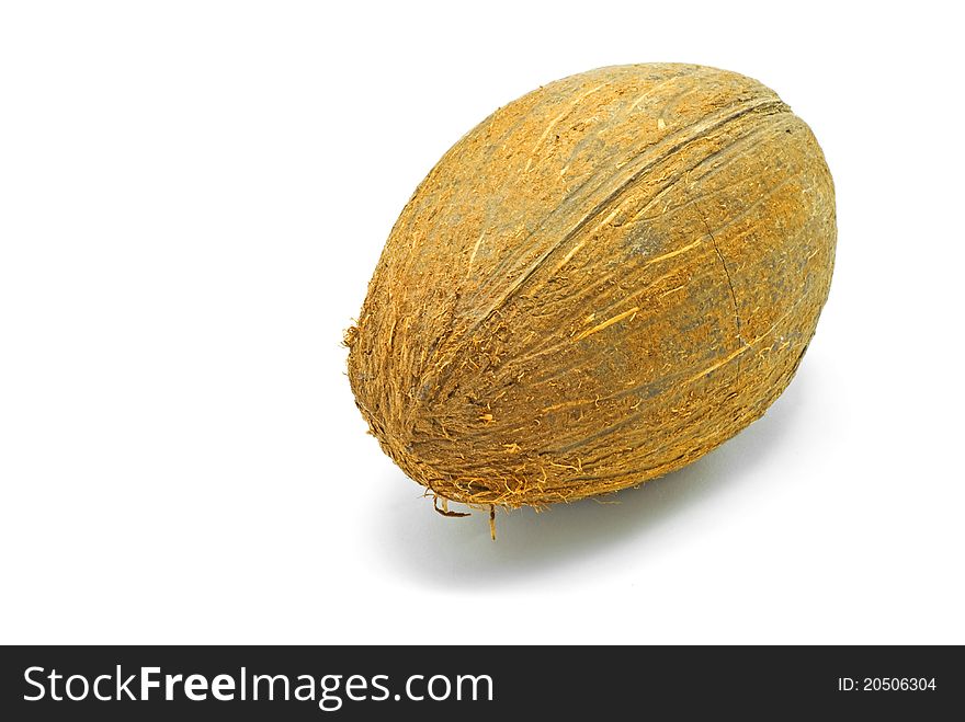 One coconut isolated on white