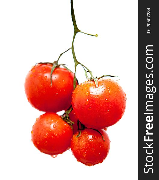 Fresh red tomato in the drops of water