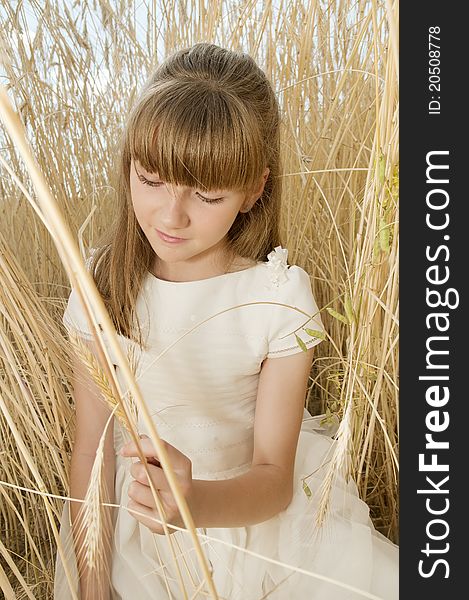 Girl wearing first communion dress in a field of grain. Girl wearing first communion dress in a field of grain