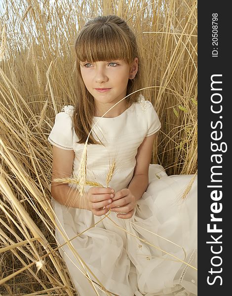 Girl wearing first communion dress in a field of grain. Girl wearing first communion dress in a field of grain