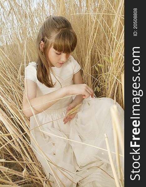 Girl wearing first communion dress in a field of grain. Girl wearing first communion dress in a field of grain