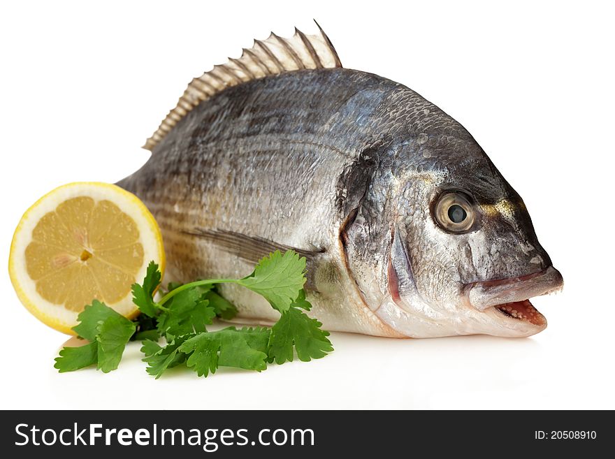 Dorado Fish garnished with Parsleyl and lemons ready for the pan or the grill