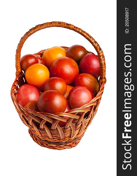 Tomatoes in a cozy basket isolated on white. Tomatoes in a cozy basket isolated on white