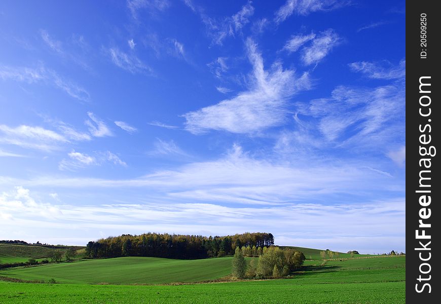 Landscape showing blue sky and green grassy land. Landscape showing blue sky and green grassy land