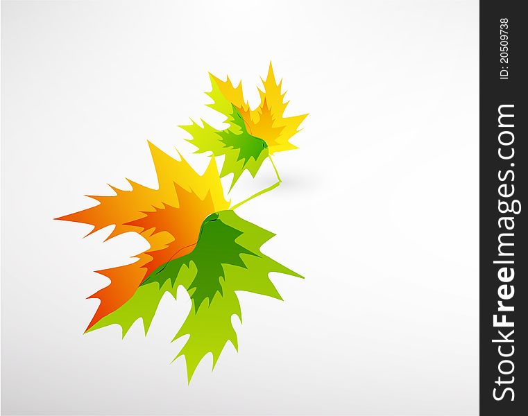Leaf Abstract Background