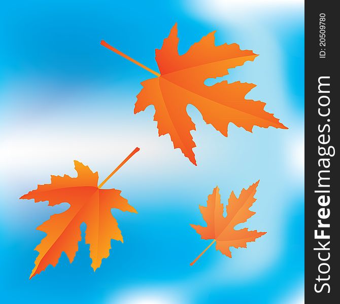 Red autumnal falling maple leaves on blue sky background. Red autumnal falling maple leaves on blue sky background