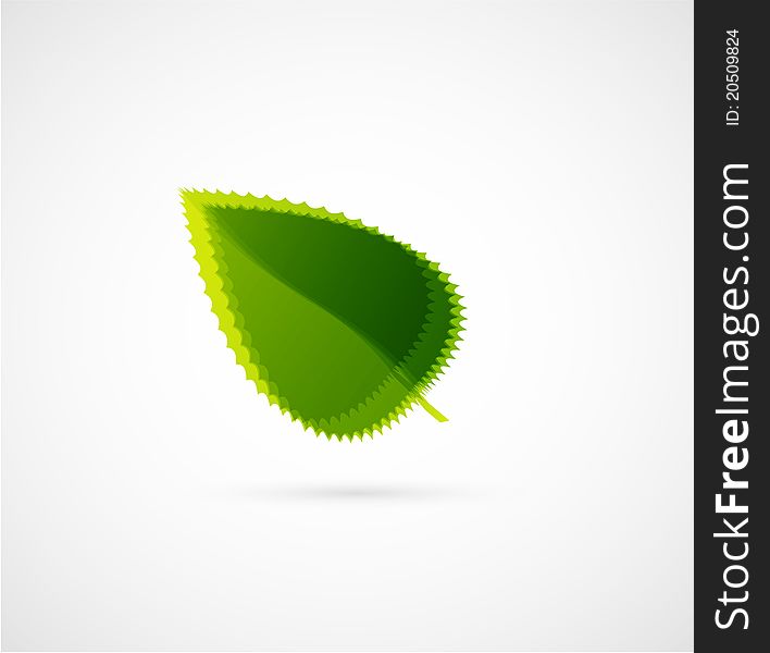 Abstract Leaf Concept
