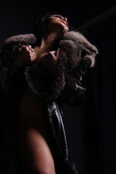 Naked Girl Is In A Fur Coat Royalty Free Stock Photo Naked Girl Is In A Fur Coat Royalty Free Stock Photo