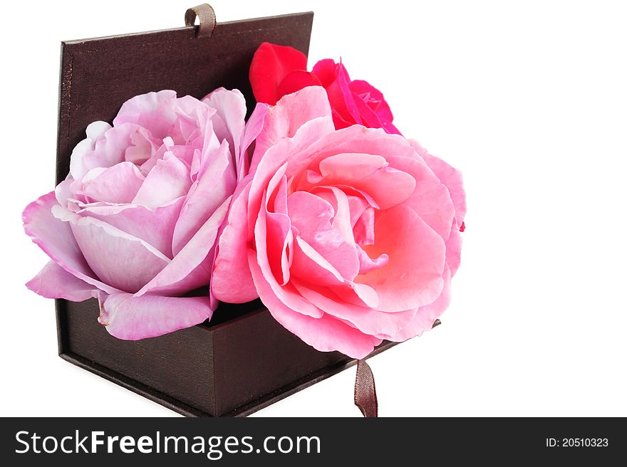 Three multi-colored roses in a brown box on a white background. Three multi-colored roses in a brown box on a white background