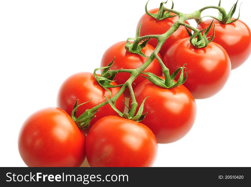Branch of red tomato on a white background. Branch of red tomato on a white background