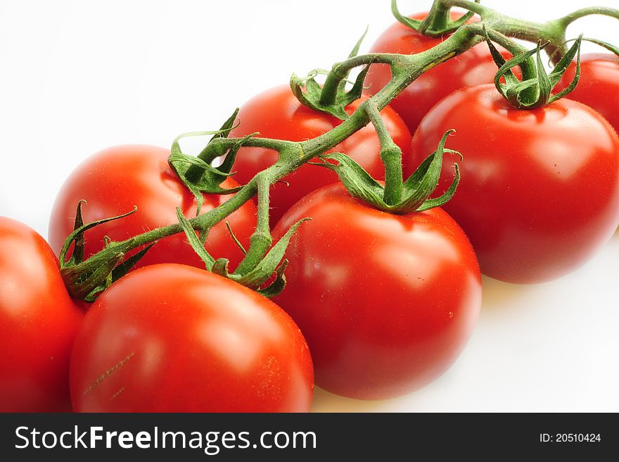 Branch of red tomato on a white background. Branch of red tomato on a white background