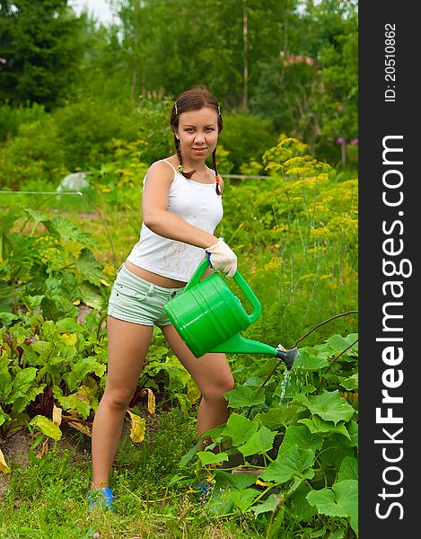 Young woman watering plants in garden. Summer cloudy day. Young woman watering plants in garden. Summer cloudy day