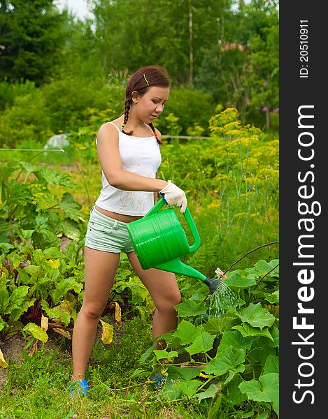 Woman Gardener Watering