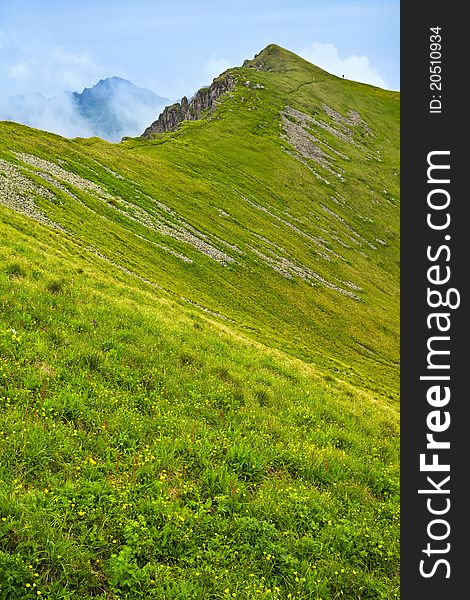 Spring Mountains Landscape