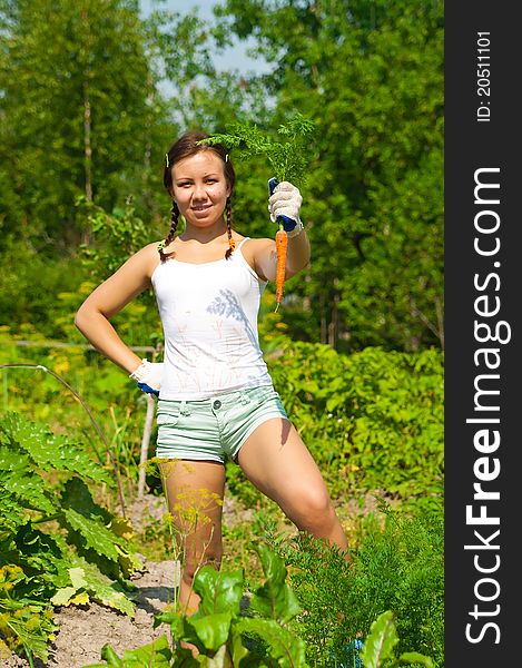 Young smiling woman holds fresh orange organic carrot in garden. Young smiling woman holds fresh orange organic carrot in garden