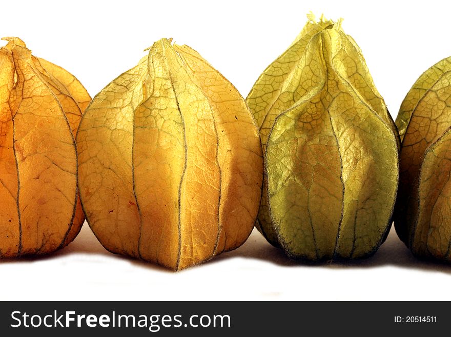 A close up shot of physalis fruits