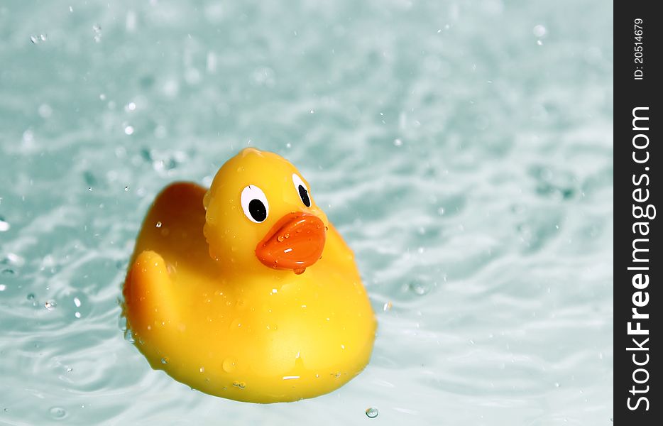 Rubber toy duck in water