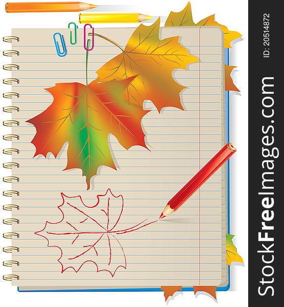 Autumn leaves in school striped notebook. Autumn leaves in school striped notebook