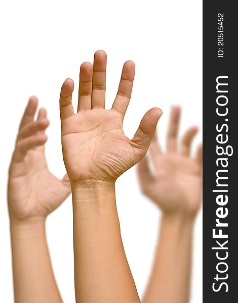 Hand holds a white background. Hand holds a white background.