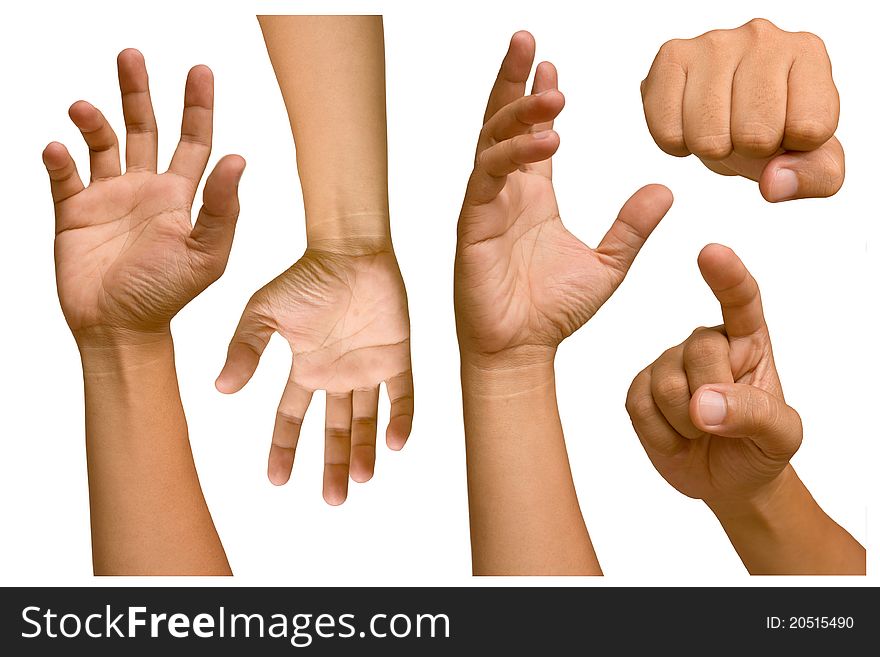 Hands of different men. White background.