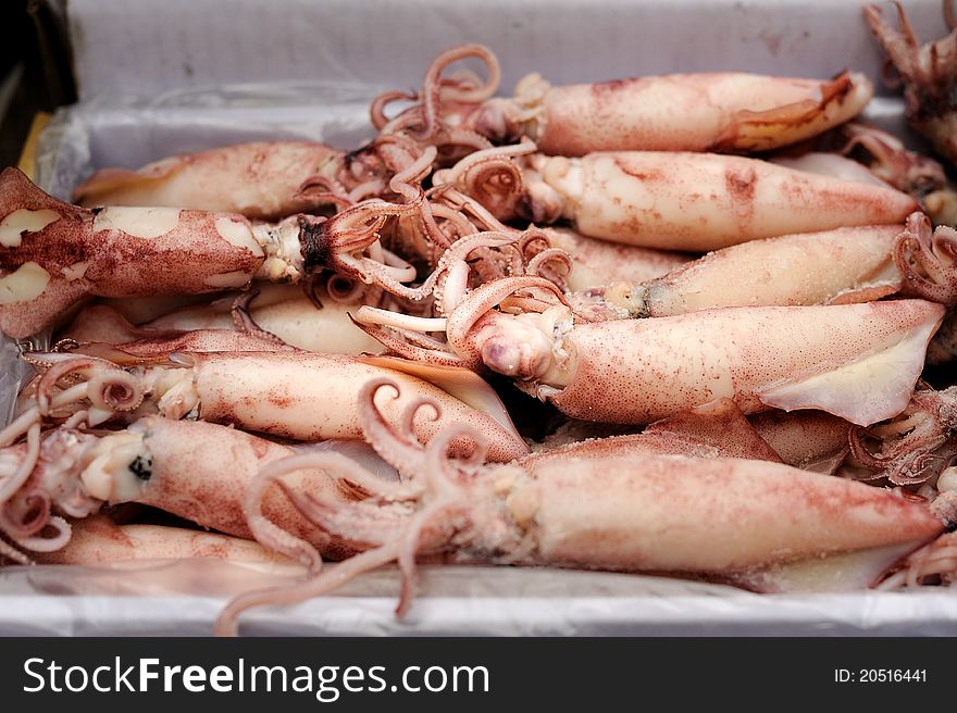 Fresh cuttlefish (squids) background in Taipei morning market.