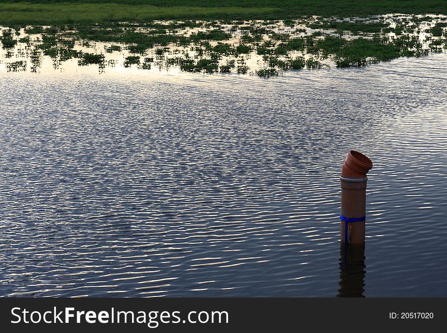 Beautiful Pond