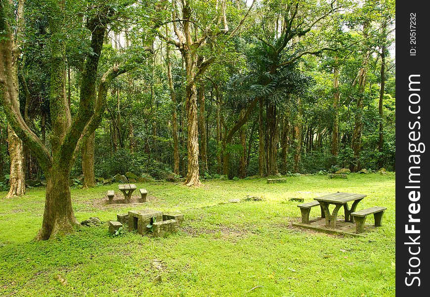 Landscape of green park and rest place