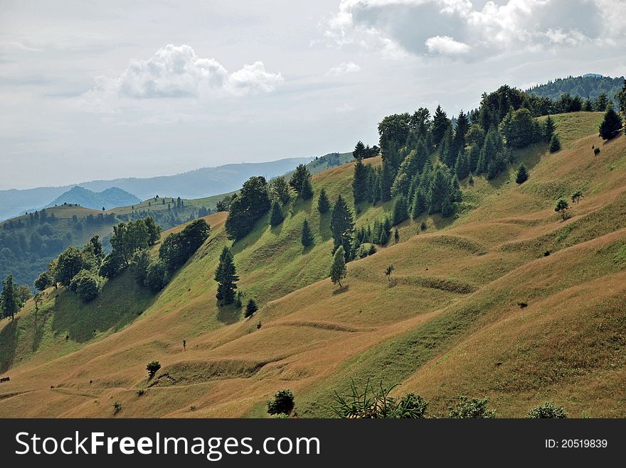 Gentle green slopes in Rodnei mountains, Romania.