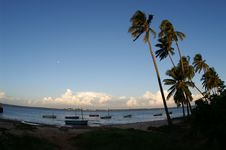 African Summer Beach Royalty Free Stock Photography African Summer Beach Royalty Free Stock Photography