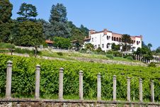 Italian Charming Villa In Vineyard Royalty Free Stock Images Italian Charming Villa In Vineyard Royalty Free Stock Images