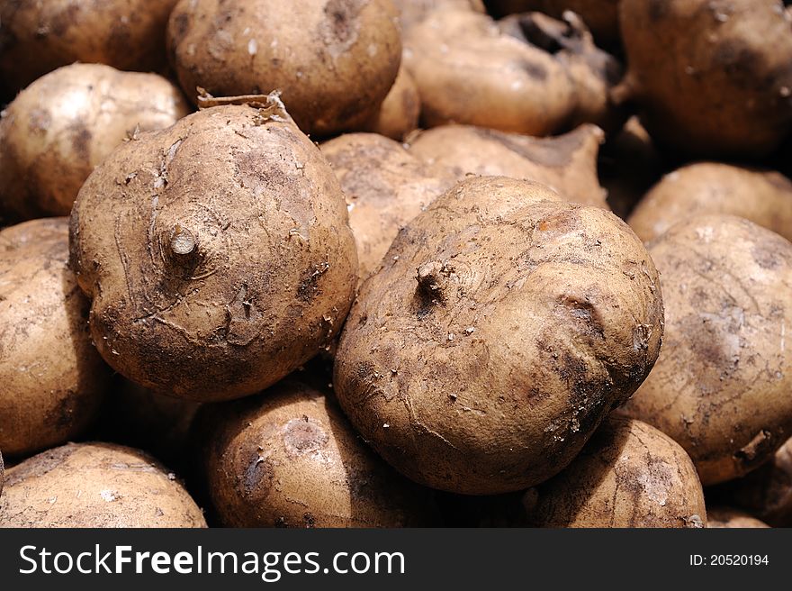 Fresh Turnips Background