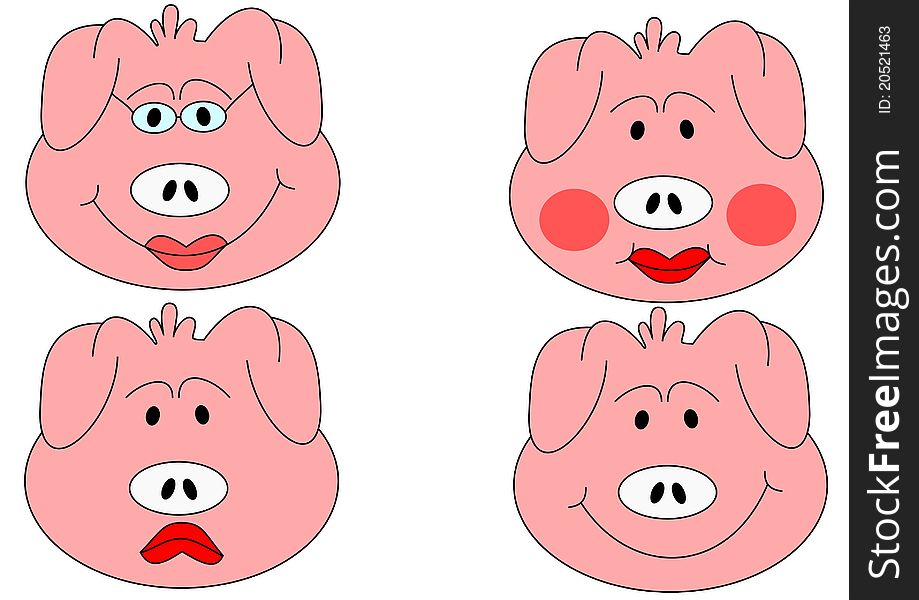 Detail of different pig heads