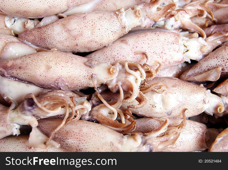 Squid, with salt, cooked food processing, a delicacy.