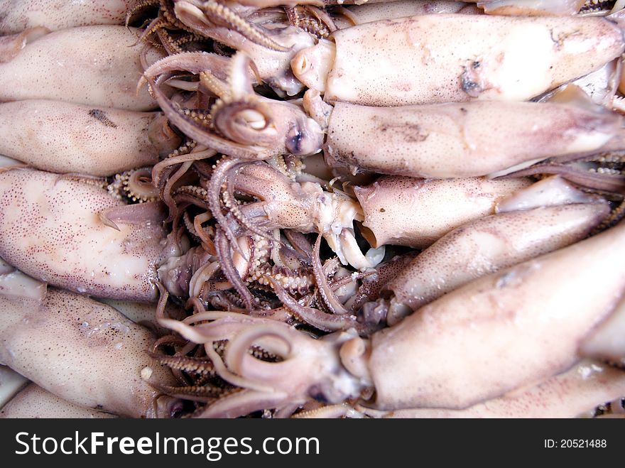 Squid, processed food, the mature squid is delicious.