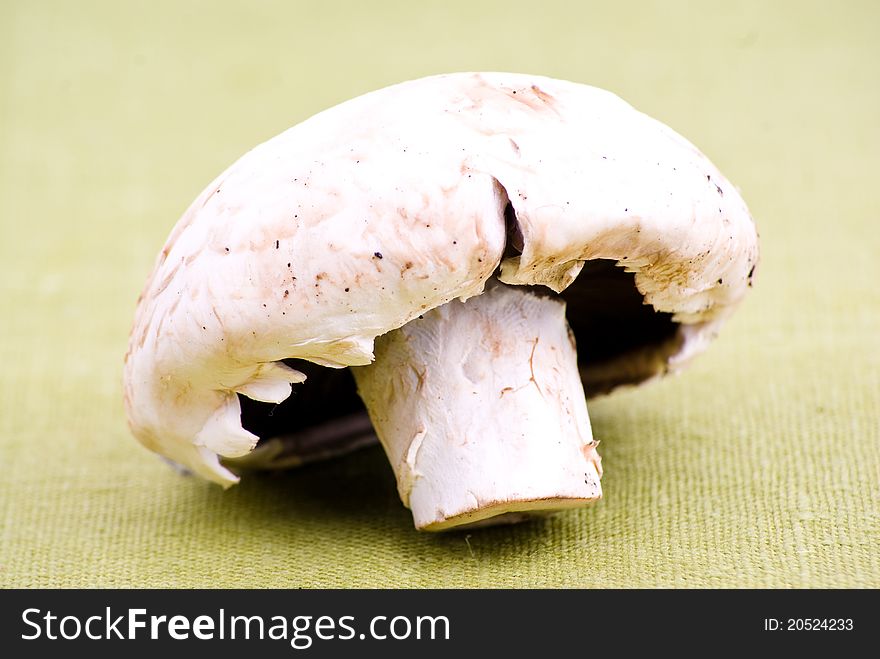 Mushroom On Green Textile
