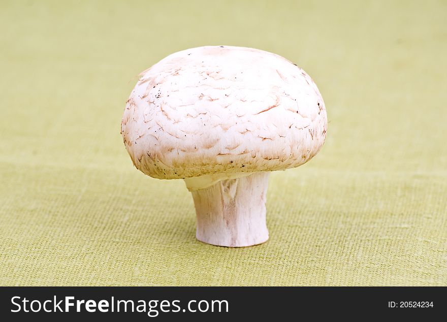 One fresh white mushroom on green textile