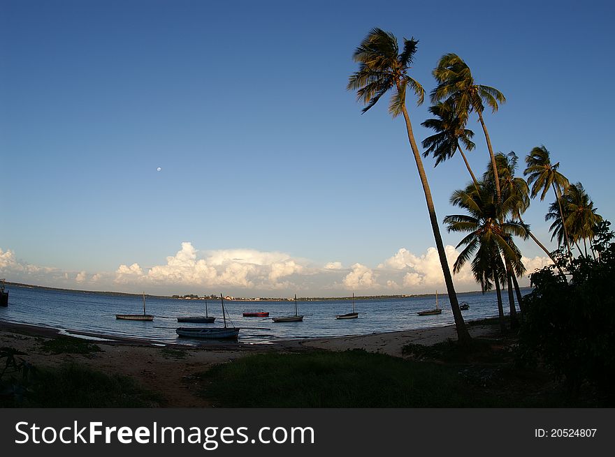 African Summer beach