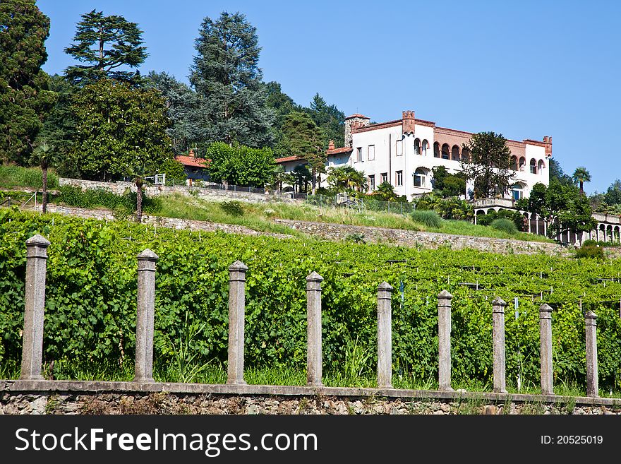 Tuscany, Italy. Italian luxury villa in the country, close to a Lambrusco vineyard. Tuscany, Italy. Italian luxury villa in the country, close to a Lambrusco vineyard